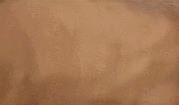 瓷磚小知識(shí)：全動(dòng)圖教你如何鋪貼瓷磚_4